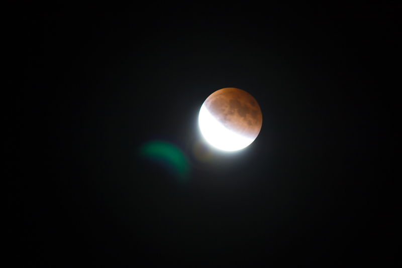Illustration for article titled 34 Amazing Photos Of The Super Blood Moon